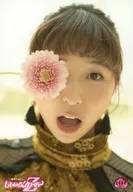 2484:桃色幸運草Z/玉井詩織/官方生寫真第32彈