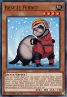 LEHD-ENC08 [N] : Rescue Ferret / Rescue Ferret