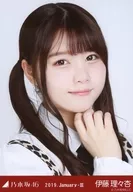 伊藤理々杏/豐胸動物圖案/乃木坂46 2019.January-III會場限定隨機生寫真