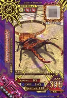 M-S4-31[SGR]：パラワンオオヒラタクワガタ