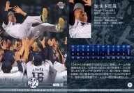 30[常规卡]:山本哲哉