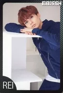 EBiSSH/REI/CD "GO!" TYPE-C (ZXRC 1163) Special Benefit Trading Card