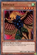 SS02-ENC08 [N] : Birdface / Bird Face