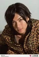 D2 / Yuki Yamada / Bust Up / Costume Brown Black / Body Diagonally Right / 「 2012.10 」 / Official Official photo