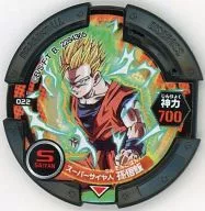 022 [★]:[Code Not Guaranteed] Super Saiyajin Son Gohan