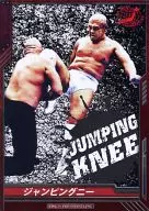 BT08-078 [C] : [No Code Guarantee] jumping knee