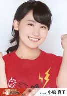 小嶋真子/丰胸/「第4回AKB48红白对抗歌会」DVD·Blu-ray封入特典