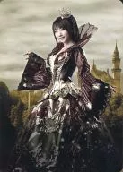 水树奈奈/QUEEN'S Night/「NANA MIZUKI LIVE CASTLE2011」会场限定销售NANACA Collection File-Collection File-附属特制NANACA