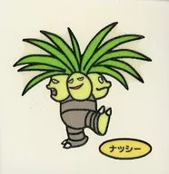 Nassi