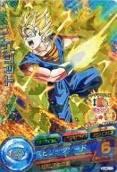 HUM2-13[P]：ベジット