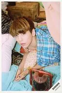 SHINee/ジュンヒュン(JONGHYUN)/バストアップ・寝そべり・衣装水色チェック柄・左向き・両手重ね・左向き・口閉じ・布団・ランプ/everysing 限定ポストカードサイズ生写真