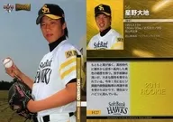 H27[標準卡]:星野大地