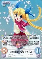 DC 169 [Super Rare] : (Joro) Tenmasuman' Yoshino no Sakura'