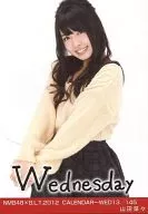 Nana Yamada / NMB48 x B. L. T. 2012 CALENDAR-WED13/145