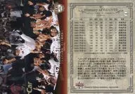 100[常規卡]:1993～2004