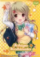 Nº 19 : Kohinata Ichigo