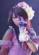 Tomomi Kasai / Live Photo, Bust Up, Costume Pink, Left Hand Microphone, Left Eye / Official Official photo