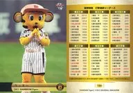T080[常規卡]:幸運