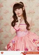 23:由香裏公主(田村由香裏)/"LOVE LIVE 2013 Autumn*Caramel Ribbon*"生寫真抽賞