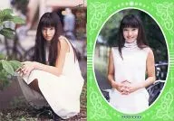 Haruka S005 : Haruka Suenaga / Special Card (Gold Leaf) / Haruka Suenaga Haruka Doo