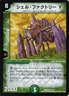 15/17 [R] : Shell Factory γ