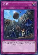 EN01-JP017[N]:奇招