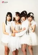 StylipS / Grupo (4 personas) / CD "No necesito una brújula perdida" animate Bonus