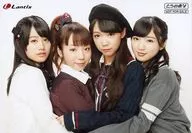 StylipS / Reunião (4 pessoas) / CD "Eu não preciso de uma bússola perdida" Cortesia de Toranohana