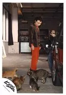 KinKi Kids / Domoto Go / Whole Body / Costume Brown / Red / Right Facing / Looking Cat / Car / Official Official photo