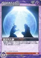 B3C/C VT063N [N] : Entrusted Dream