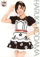 兒童遙/膝上衣白色.黑色.花朵圖案/AKB48 CAFE&SHOP限定A4尺寸生寫真海報第64彈