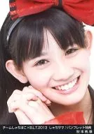 Team Shachi Hoko/秋本帆华/Team Shachi Hoko×B.L.T.2013Shachi♪场刊特典