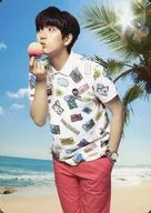 B1A4/SANDEUL(サンドゥル)/膝上・右手果物・顔寄せ・左手ポケット・裏面「B1A4 SUMMER HOLIDAYS」/韓FUN LIVE 2015 B1A4 トレーディングカード