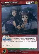 C-P014[P]:遙遠的一天