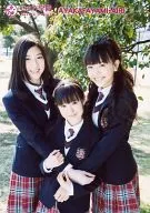 Sakura Gakuin / Ayaka Miyoshi / Ayami Muto / Airi Matsui / Kneecaps / Black / Red / Check Pattern / Uniform / Mutoguchi Closure / Wood / Outdoor / Center Muto / Official Official photo