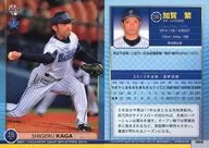 DB08[常规卡]:加贺繁