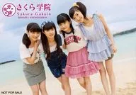 Sakura Gakuin / Moa Kikuchi, Yui Mizuno, Hana Taguchi, Yunano Notsu / Horizontal, Above the Knee, Ocean / "Sakura Gakuin Photo Book" special Official photo