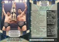 31[普通卡]:藤波辰巳&木村健吾