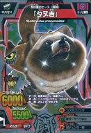 A-193 [prata rara] : "Tanuki"