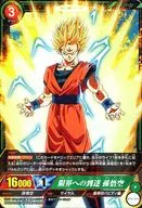 BT2-074[R]：[コード保証なし]限界への到達 孫悟空