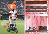 G070 [Regular Card] : Mr. Giabbit (333)