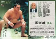 46 [Regular Card] : Kuniyoshi Kurosegawa