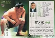 51 [Regular Card] : Shinya Chinohana