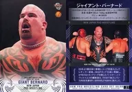 27[常规卡]:Giant Bernard