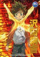 Nº 004/01 Ultra Rare (UR) : (Ho) Tsunayoshi Sawada (estampado en caliente de oro)