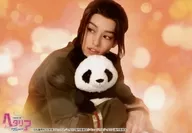 Taishi Sugie (Chinese) / Horizontal, Upper Body, Costume Khaki, Right Body, Left Eye, Panda Plush toy, Character Actor Shot / Musical 『 Hetalia - Singin' in the World - 』 Random Bromide