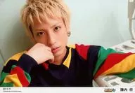 D2 / Sho Jinnai / Horizontal ・ Bust Up ・ Costume Black / Red / Green / Yellow / Right Cheek / Neck Tilt ・ "2013.11" / WE SHOP Limited Bromide