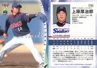 TY05[常規卡]:上原厚治郎