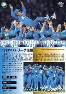 100 [レギュラーカード] ： VICTORY1993年
