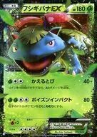 001/072 : (Kira) Venusaur EX